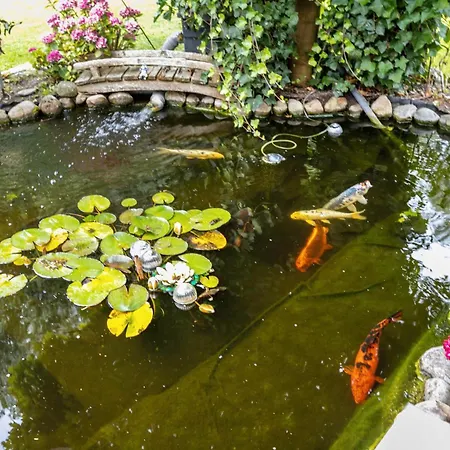 Apartament Dohle Vollerwiek