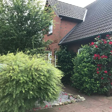 Dohle Lägenhet *